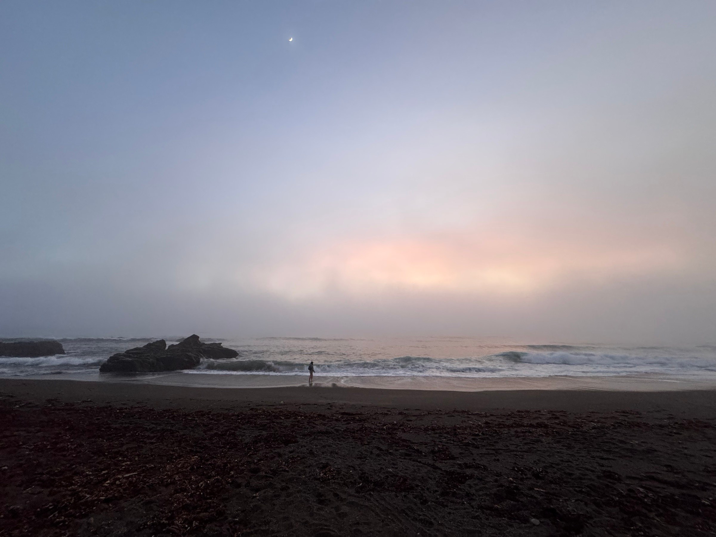A lone person walking beside the ocean beneath a crescent moon