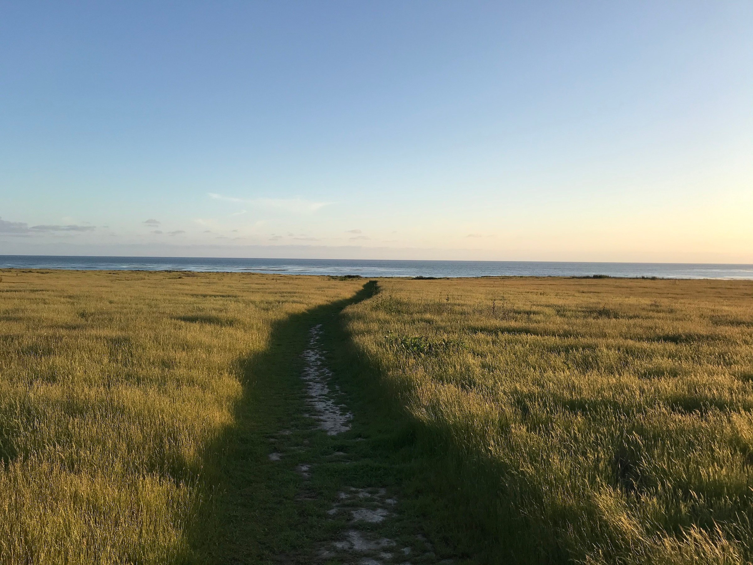 A path through a coastal field toward the sea